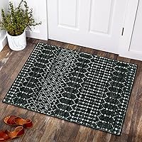 Lahome 2x3 Moroccan Entry Rug - Non-Slip Washable Low-Profile Door Mat, Geometric Distressed Print for Entryway Kitchen Bathroom, Black