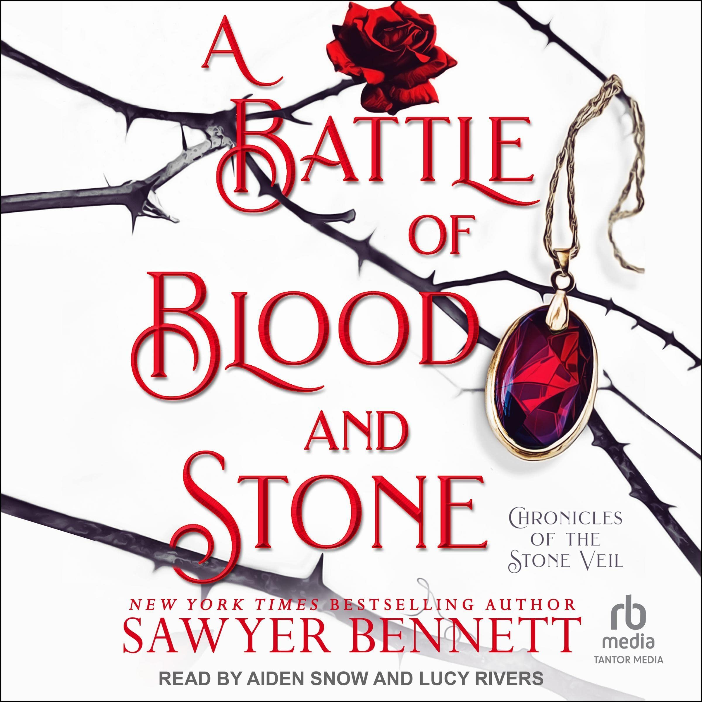 Cover art for A Battle of Blood and Stone