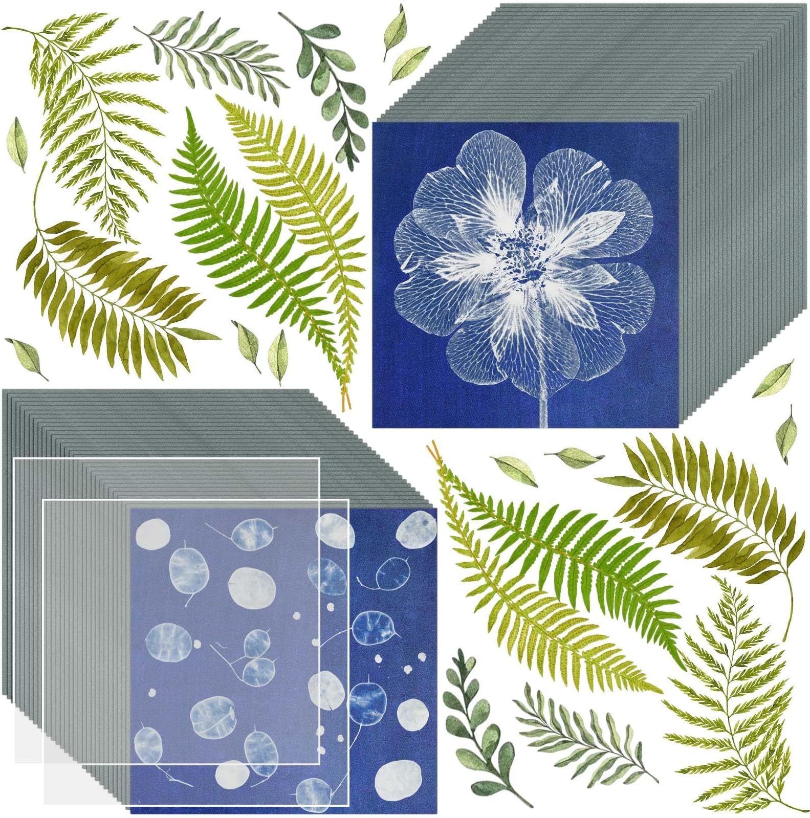 Nalacal 60 Pcs Sun Print Paper Kit Cyanotype Paper, Art With 2 A6 Size Plastic Tools For Printing, Light Sensitive Solar Photography Arts Crafts Diy Project (3.9X 3.9 Inch)