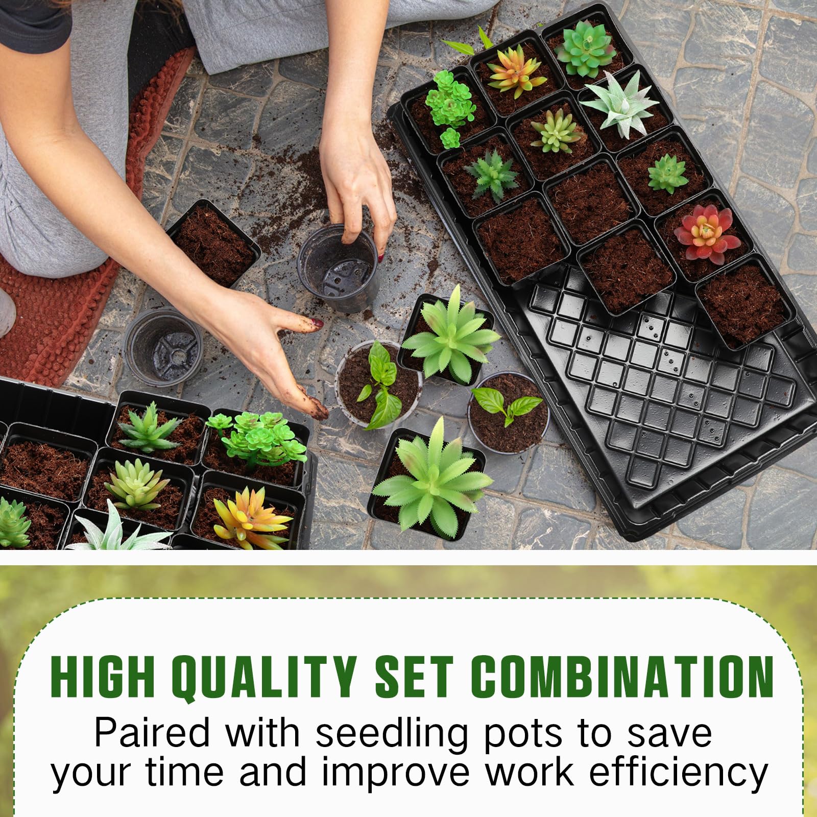 Barydat Set di 6 vassoi per sementi con 108 vasi quadrati per vivaio, 50 x 25 cm, vassoi per la coltivazione di piante per microgreens, grandi vassoi quadrati per piantine, giardinaggio indoor o
