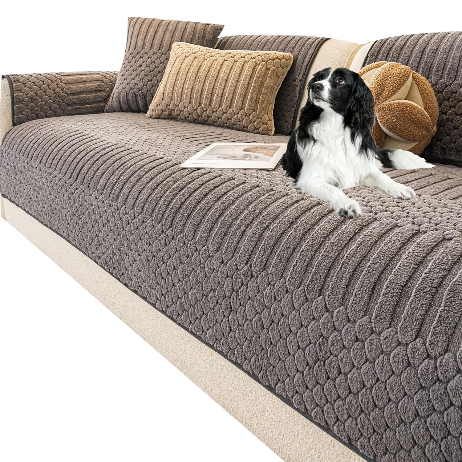Housse de canapé pour chien idéale pour le grand salon familial