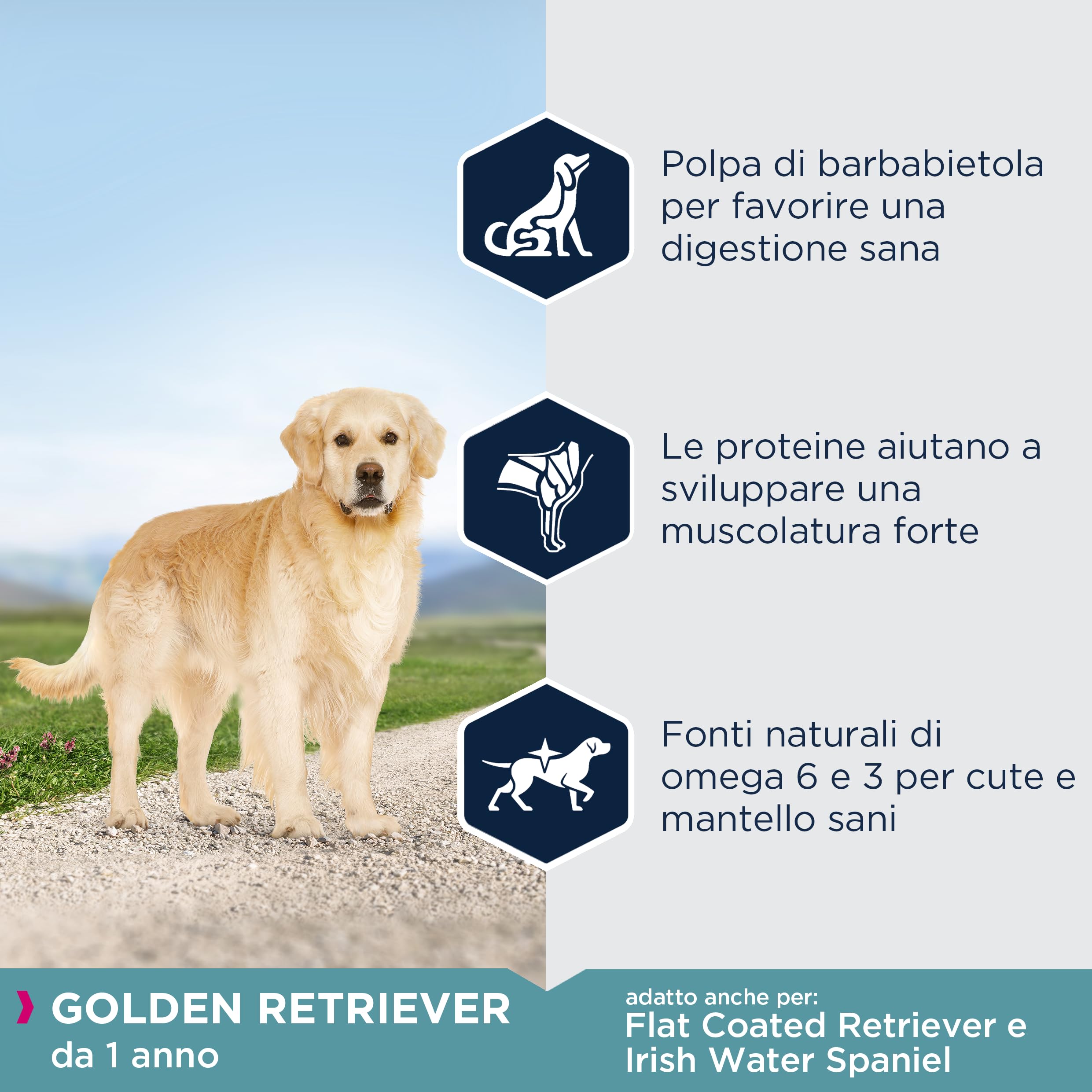 Eukanuba Breed Specific Alimento Secco per Golden Retriever Adulti, Cibo per Cani Adattato in Modo Ottimale alla Razza 12 kg