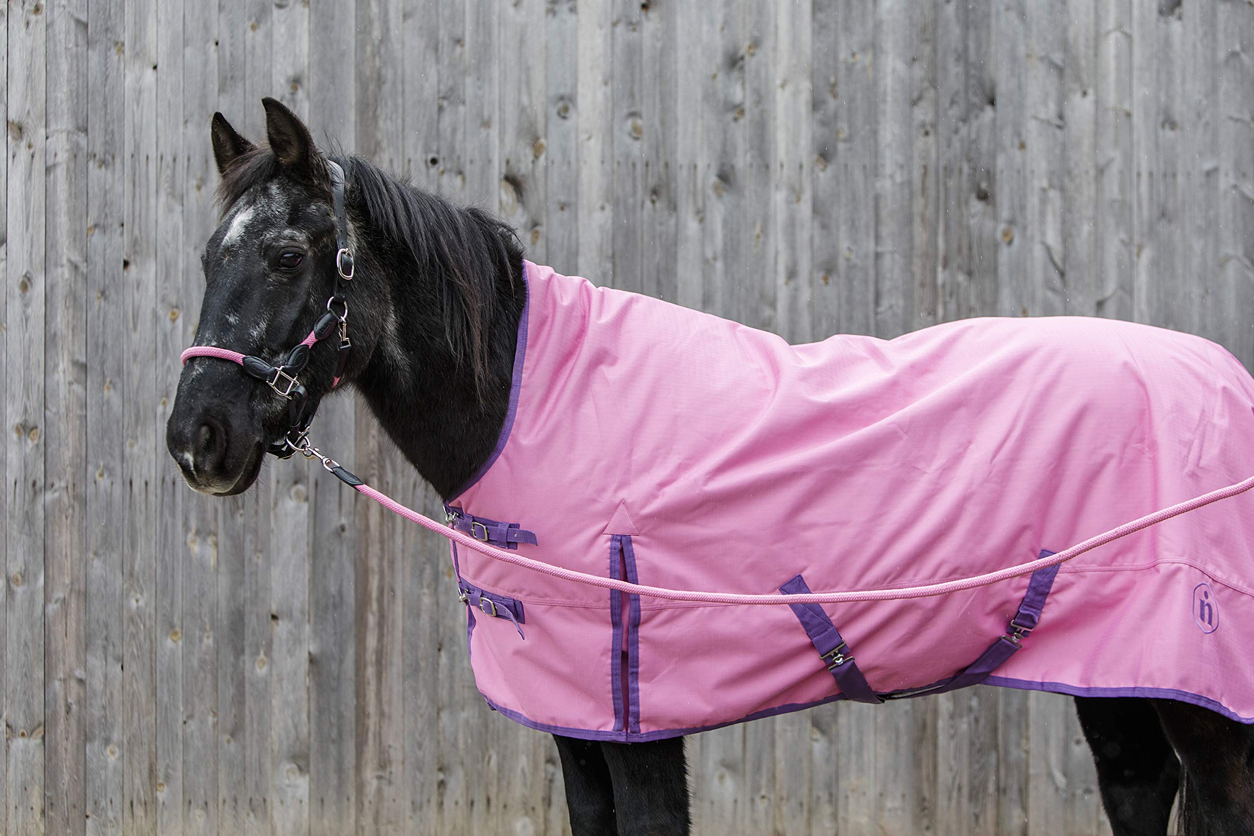Pferdedecke-Winter indira pro 400g Wasserdicht Ripstop 1200d high-Neck (145 cm, Blau 01 - Pink 01)