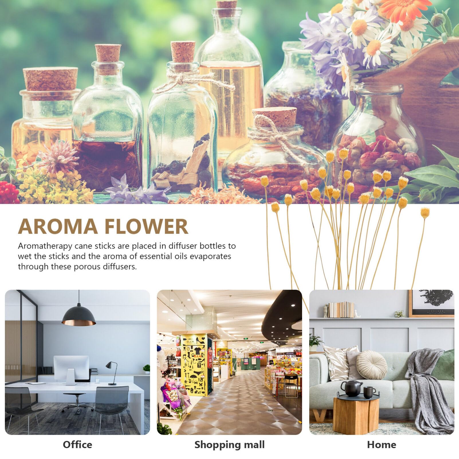 Sewroro Rattan Reed Sticks 20pcs Flower Reed Diffuser Sticks Refills Wood Essential Oil Aroma Diffuser Sticks for SPA Office Home Decor Essential Oil Diffusers