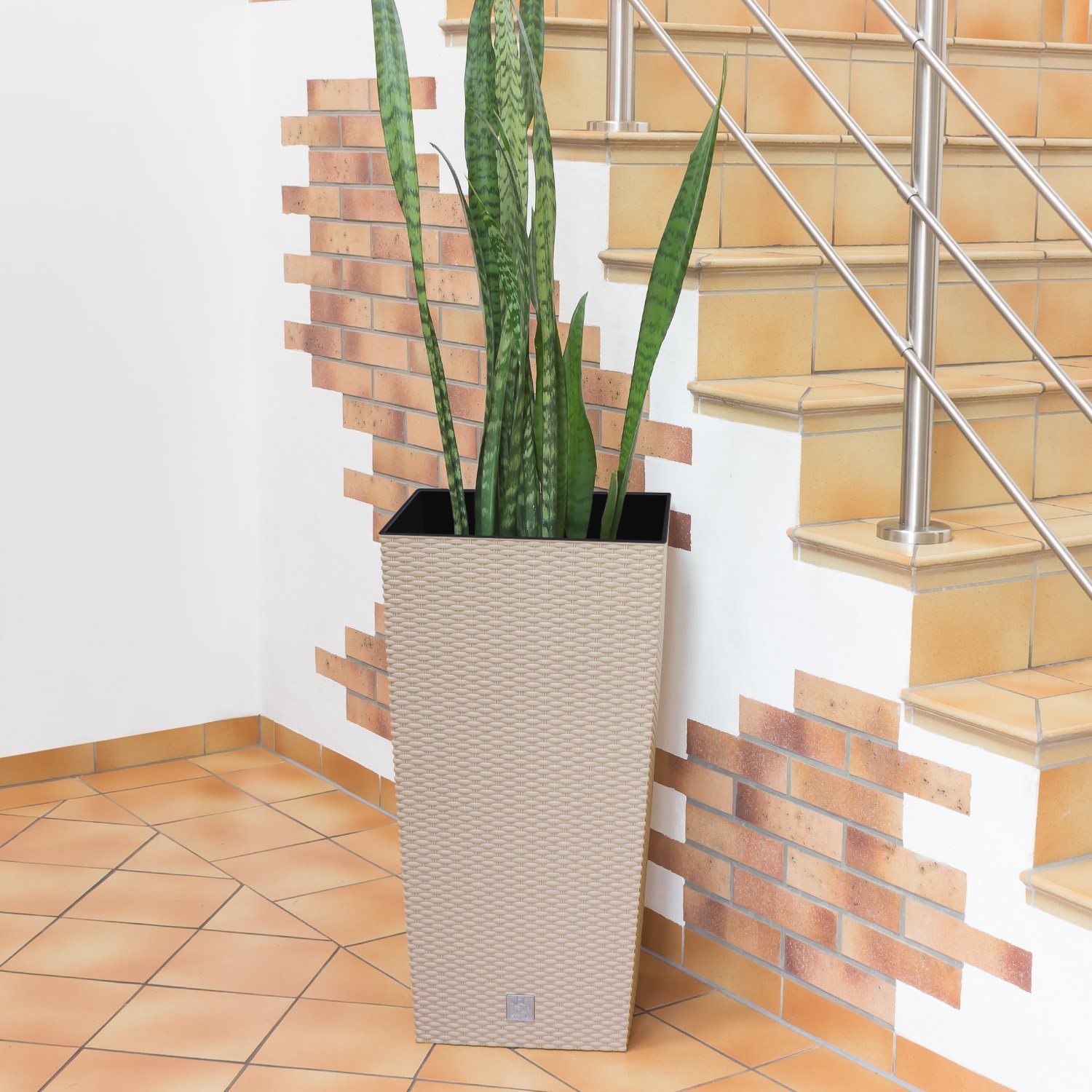 Marmite Rato 91,5 litres avec insert 40 x 40 x 75 cm en couleur mocca