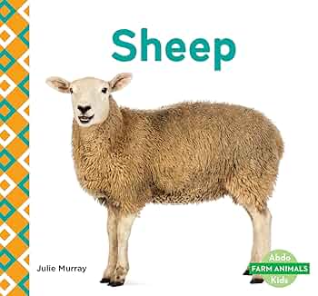 sheepさま　専用　95年8月号とまとめて8冊 81p2kAHpMtL._UF350,350_QL50_.jpg