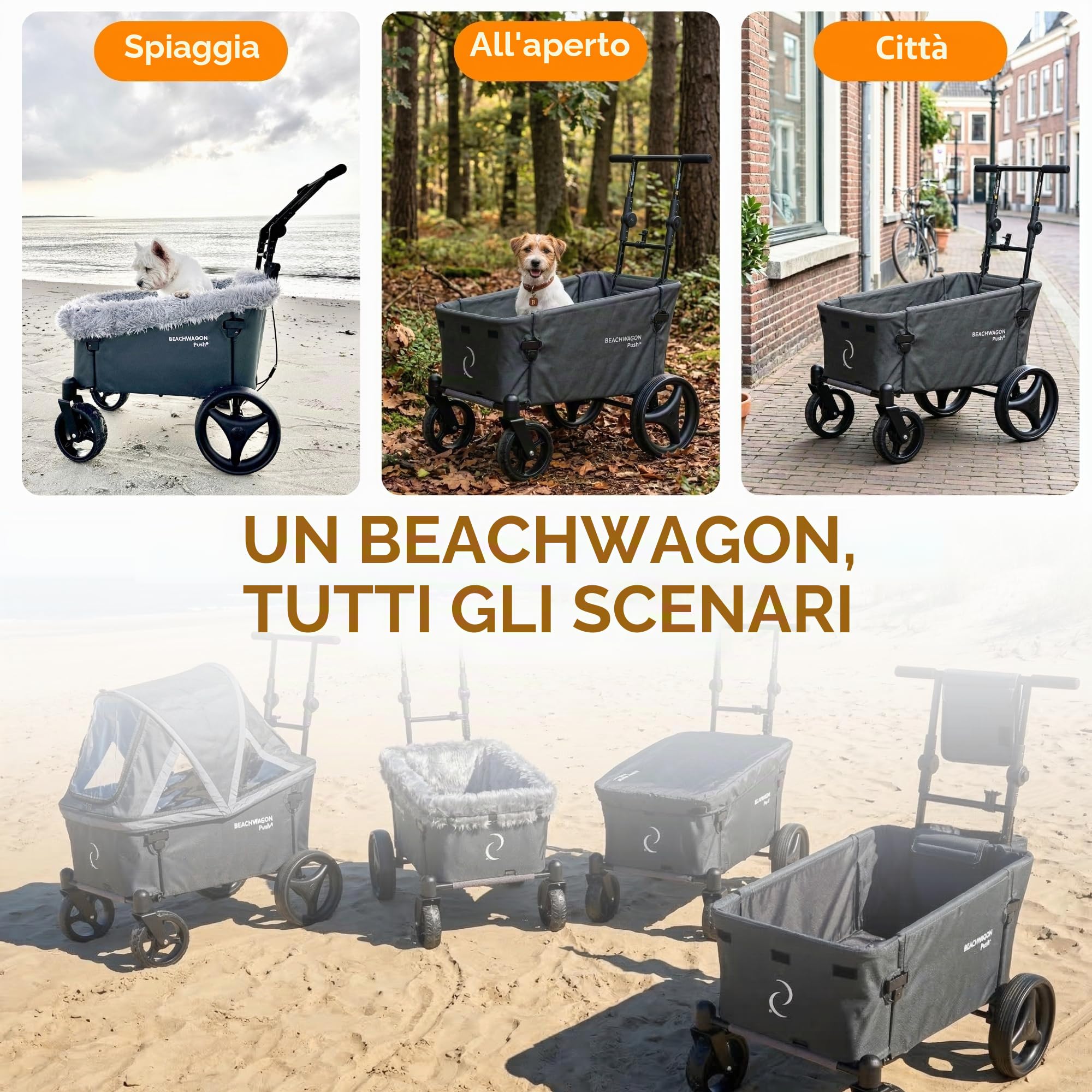 Beach Wagon Carrello con Ruote Pieghevole PUSH Combideal 40 kg, Carrello Spesa Medio con Barra di Spinta e Tetto, Leggero e Compatto, Lavabile, Carrello da Spiaggia e Giardino, Grigio Scuro