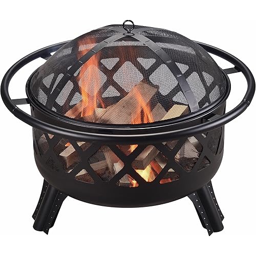 Teamson Home Round Steel Outdoor Fire Pit Outside Wood Burning Firepit Bonfire with Firebowl, Poker, Mesh Screen for Patio Garden Backyard BBQ, 30 Inch, Black