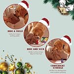 Nocciola 15 Pack Grocery Bag Fruits and Vegetables Crinkle Dog Squeaky Toys, Small Dog Toys for Aggressive Chewers, Durable Plush Christmas Dog Toys for Small Medium Size Dogs, Puppy Dog Chew Toys