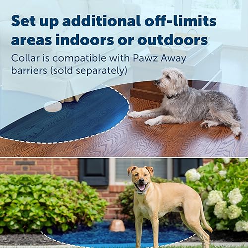 Miniatura 4 de PetSafe Valla clásica en el suelo para gatos, sistema de contención subterráneo para perros expandible hasta 5 acres, pantalla LCD digital, 8