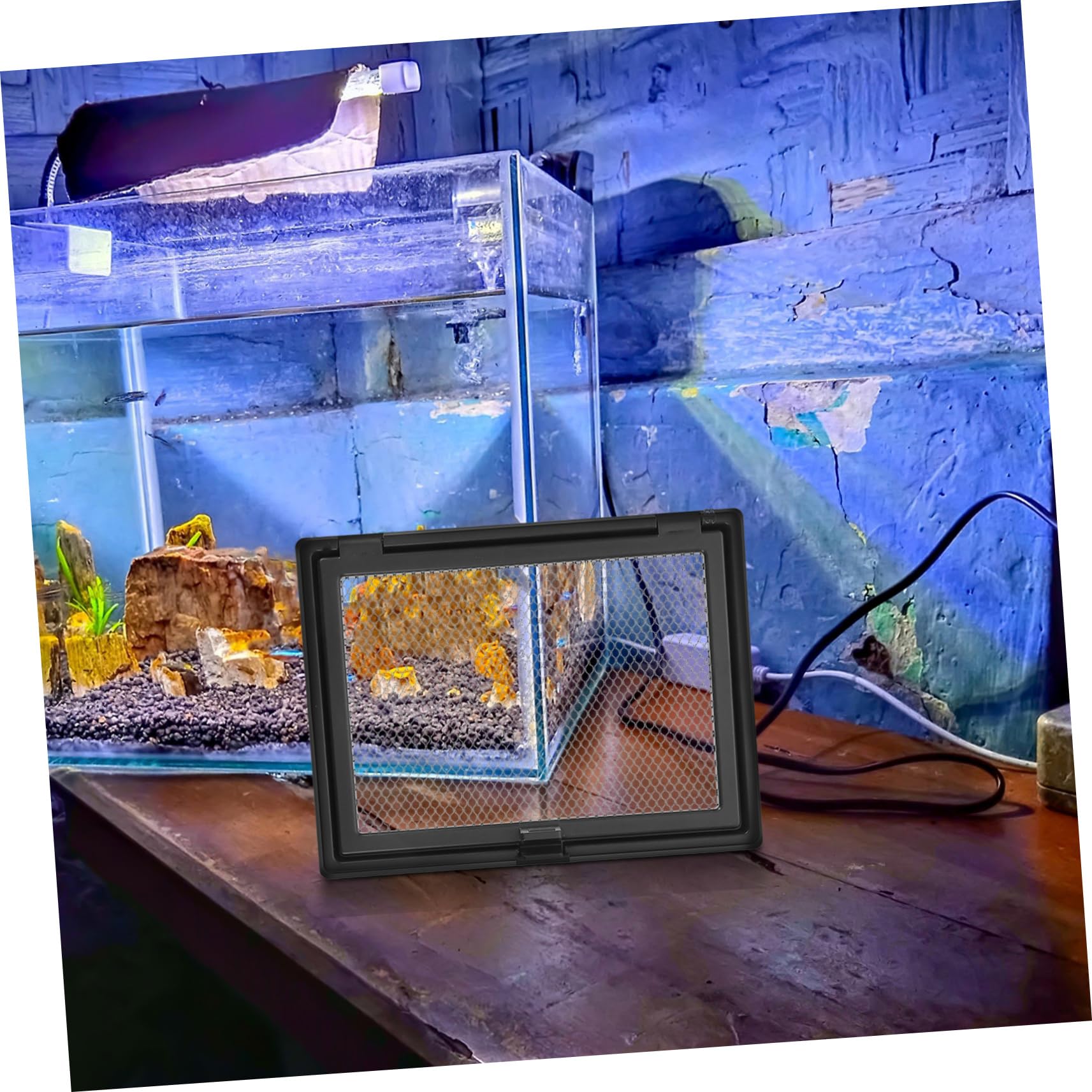 COLLBATH Coperchio in Rete per Acquario Copertura Magnetica Ricambio Adatto A Serbatoi d'Acqua Dolce E Marine Sicurezza Anti-Salto per Pesci Betta E Rettili