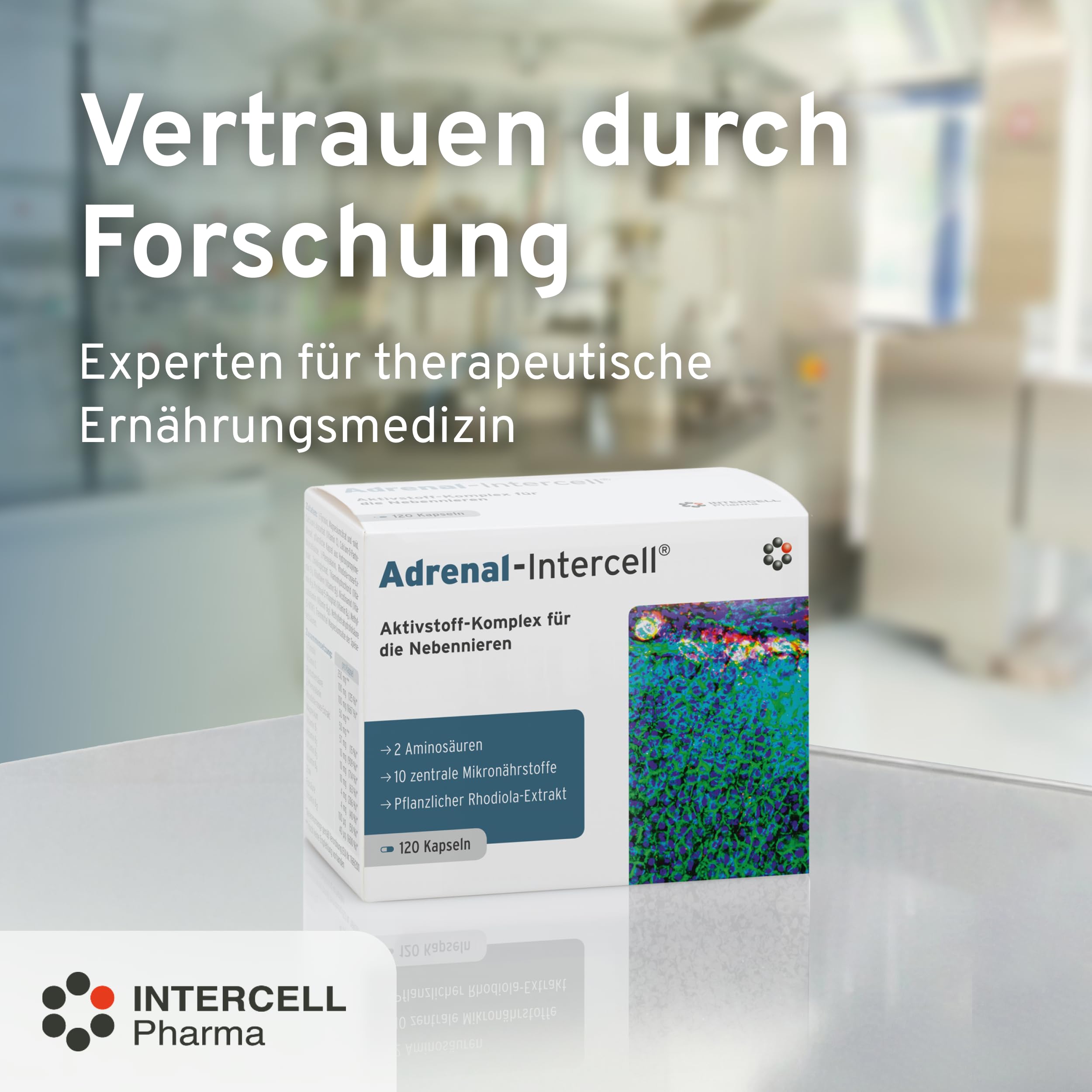 Adrenal Intercell (120 Kapseln) - Aktivstoff für die Nebennieren - mit L-Tyrosin (Aminosäure), Vitamin C, Pantothensäure, Rhodiola, Magnesium, Zink, Vitamin B1, B2, B3, B6, B12 & Folsäure
