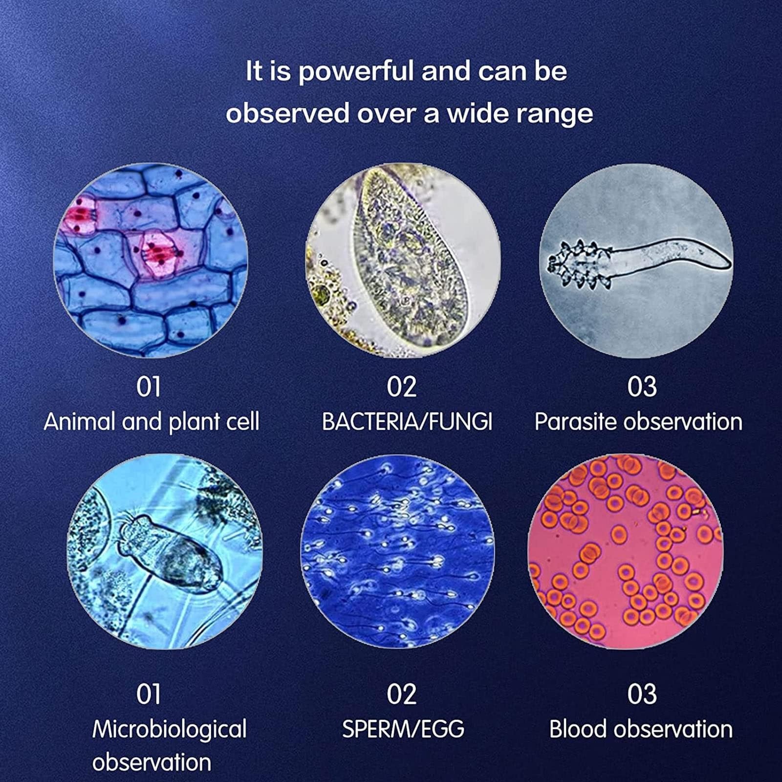 Zestaw przenośnego mikroskopu, złożony mikroskop trójokularowy 40X-5000X, cyfrowy mikroskop laboratoryjny LED, do szkolnego laboratorium domowego (White)