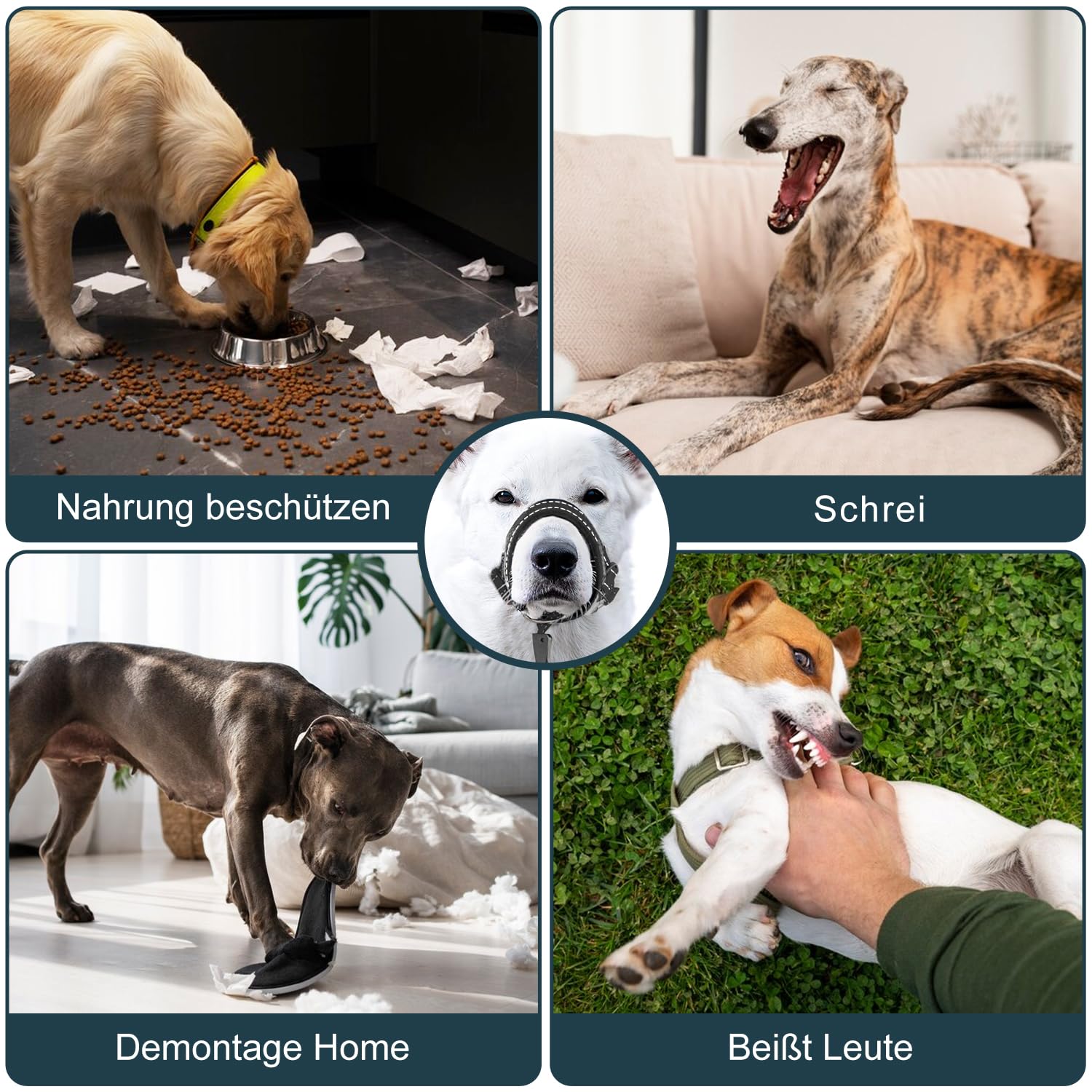 Voarge Harnais de dressage pour chien, muselière pour animaux de compagnie, facile à installer, léger, avec sangle de nez rembourrée, protège-dents pour chien, support d'entraînement pour éviter les