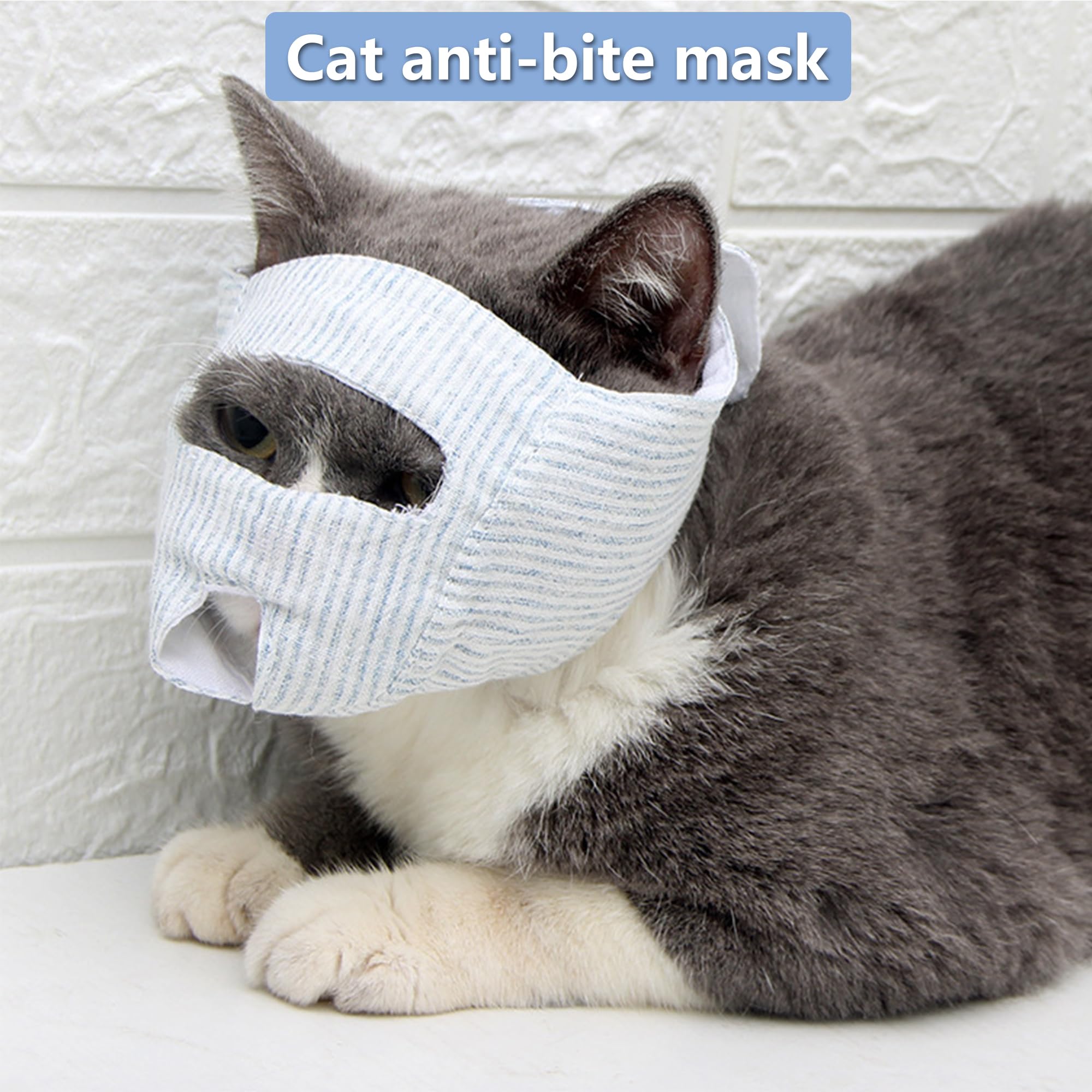 Museau Chat Soin Anti-Morsure Chat Respirant Réglable Empêcher Mastication Morsures Protection Claire Visage Soin Bain Doux Chat Rasage Ongles Coupants