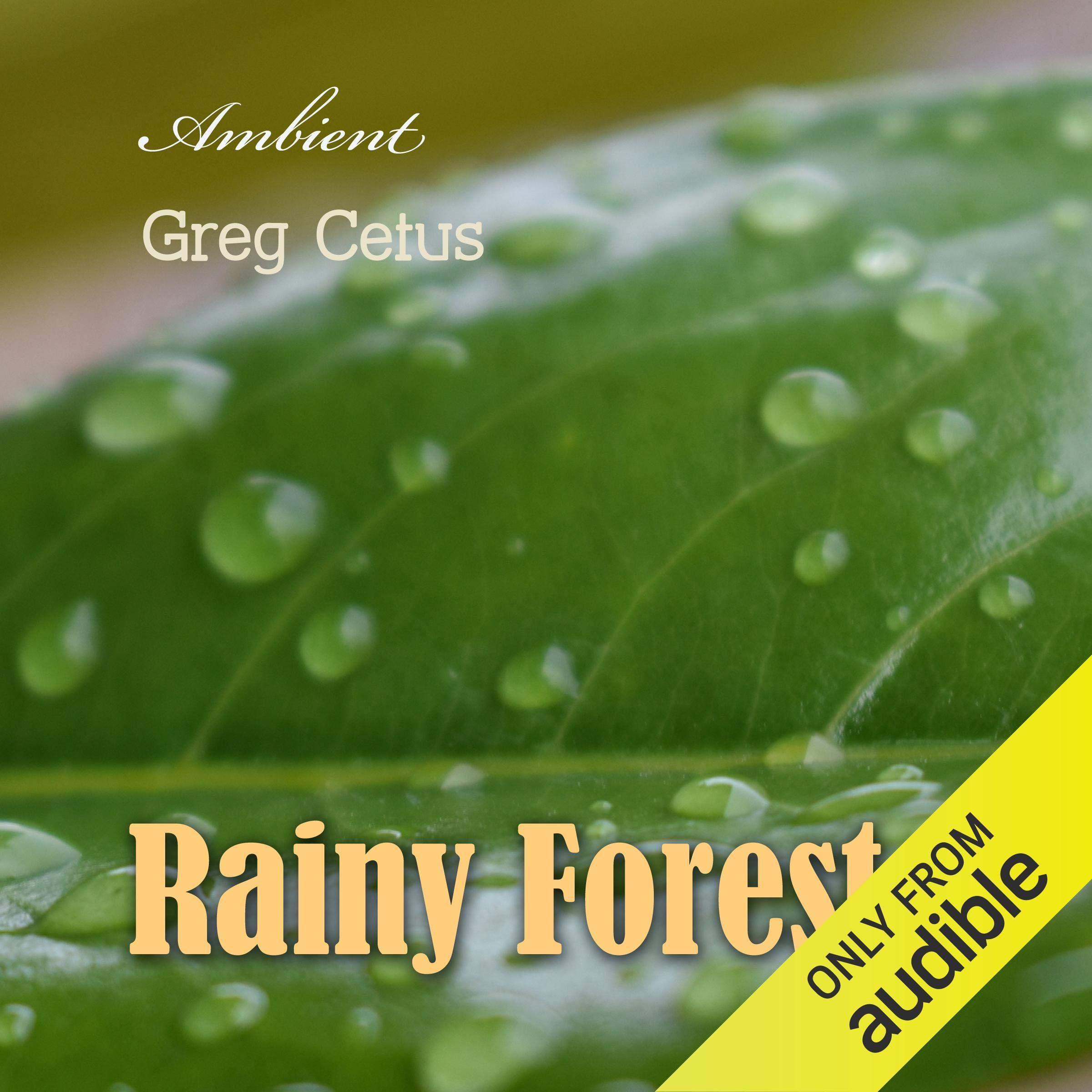 Cover art for Rainy Forest