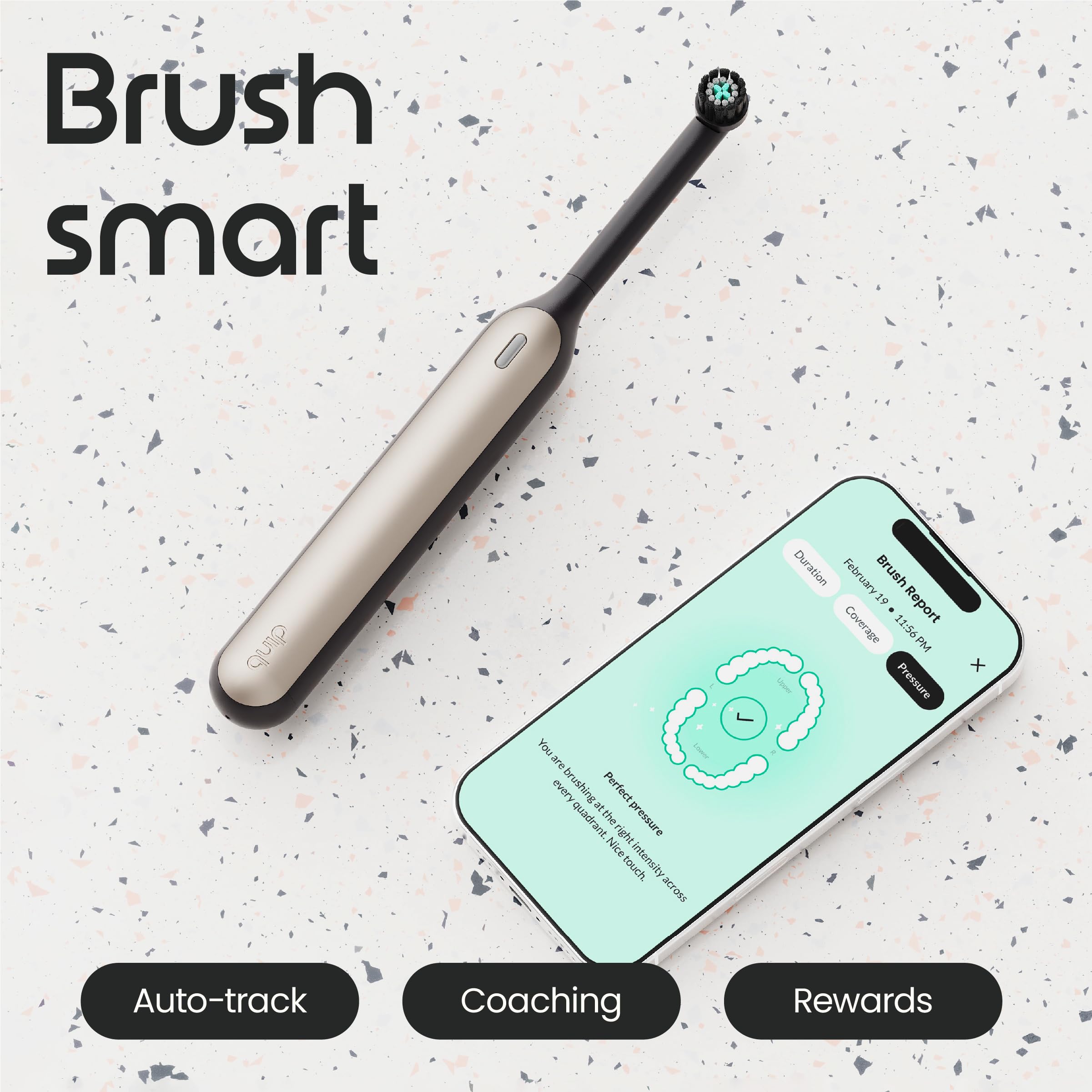 Quip Rev - Cepillo de dientes oscilante inteligente, cepillo de dientes eléctrico temporizado con funda, 11 veces más eliminación de placa, 4 intensidades, carga de batería de 30 días, color negro