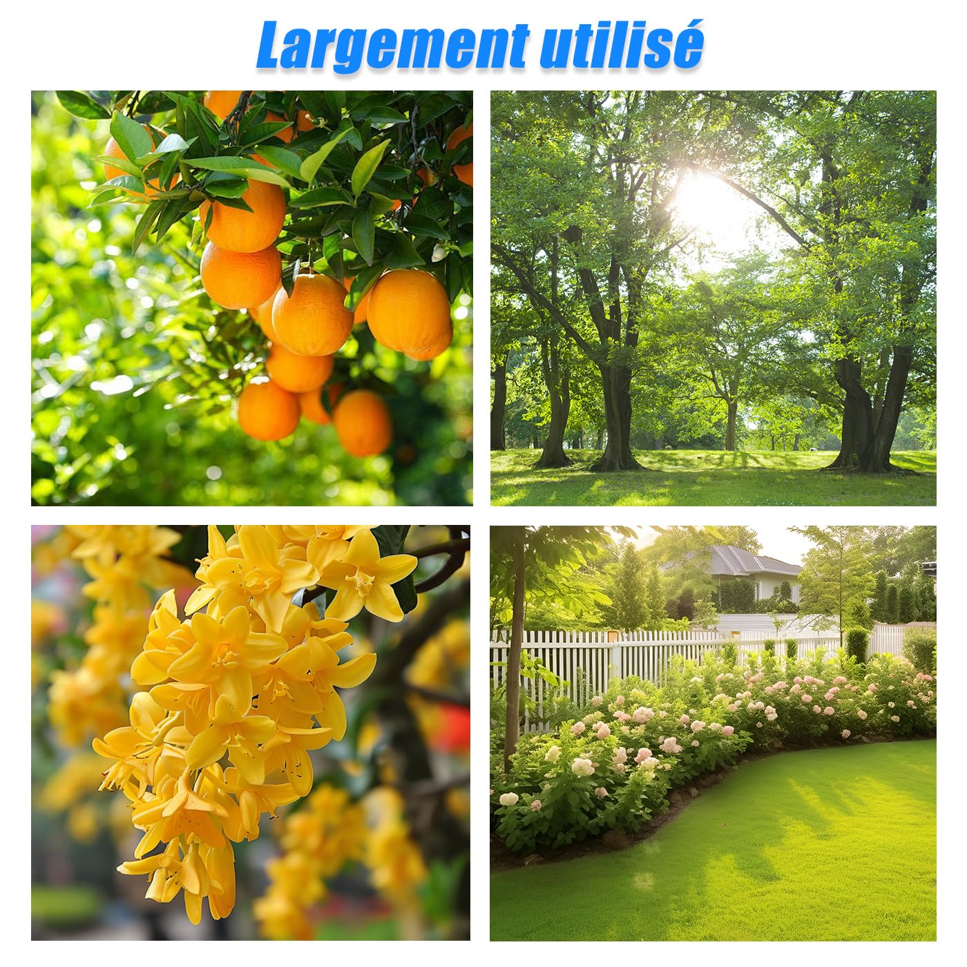 Sécateur Électrique avec Perche, Sécateur Électrique Sans Fil, Batterie Li-ion 2X2.0ah, Secateur Telescopique Electrique Ciseaux de Jardin,Lames Sk5, Réglage de L'angle 90°