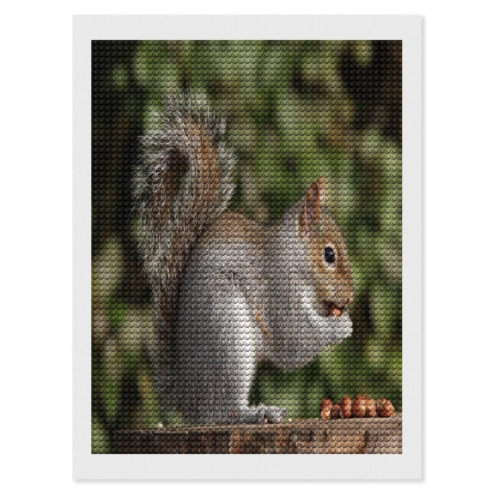 Squirrel Diamond Art Kits for Adult Round Full Drill Diamond Dots Paintings for Beginner Picture Art DIY Diamond Painting Kits 5D Diamond Art Painting for Home Wall Decor 12"x16"