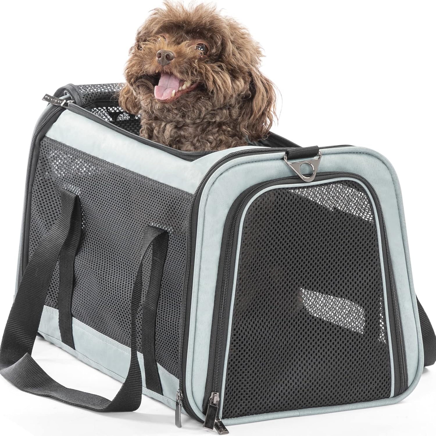 Petsfit Airline Approved Cat Carrier Pet Travel Carrier,Large Space Breathable Lightweight Soft-Sided Dog Carriers for Small Animal : Pet Supplies