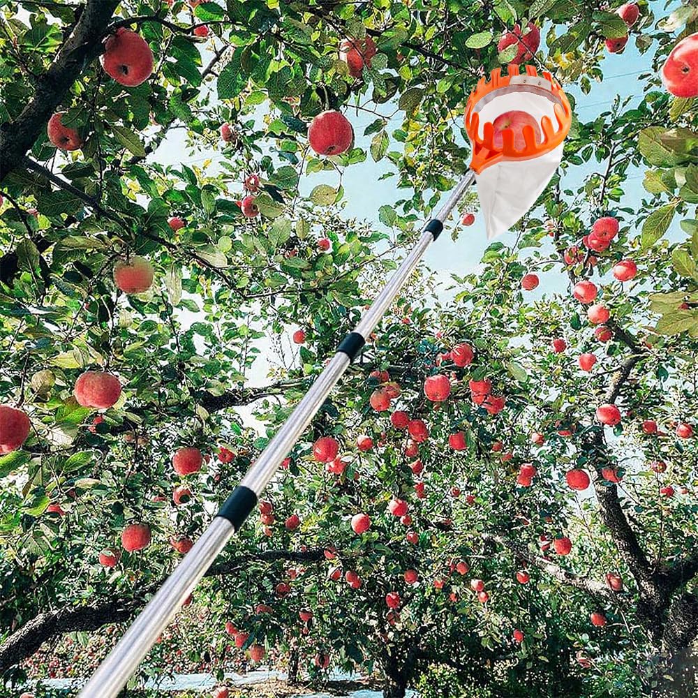 MANGLI 4,2 m raccogli frutta, raccogli mele, con manico telescopico, raccogli ciliegie in acciaio inox e sacchetto di cotone, raccogli frutta per ciliegie, pere, agrumi, pesche