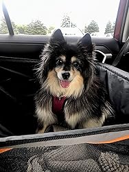 K&H Pet Products Buckle N' Go Dog Car Seat For Pets Gray Large 21 X 19 X 19 Inches