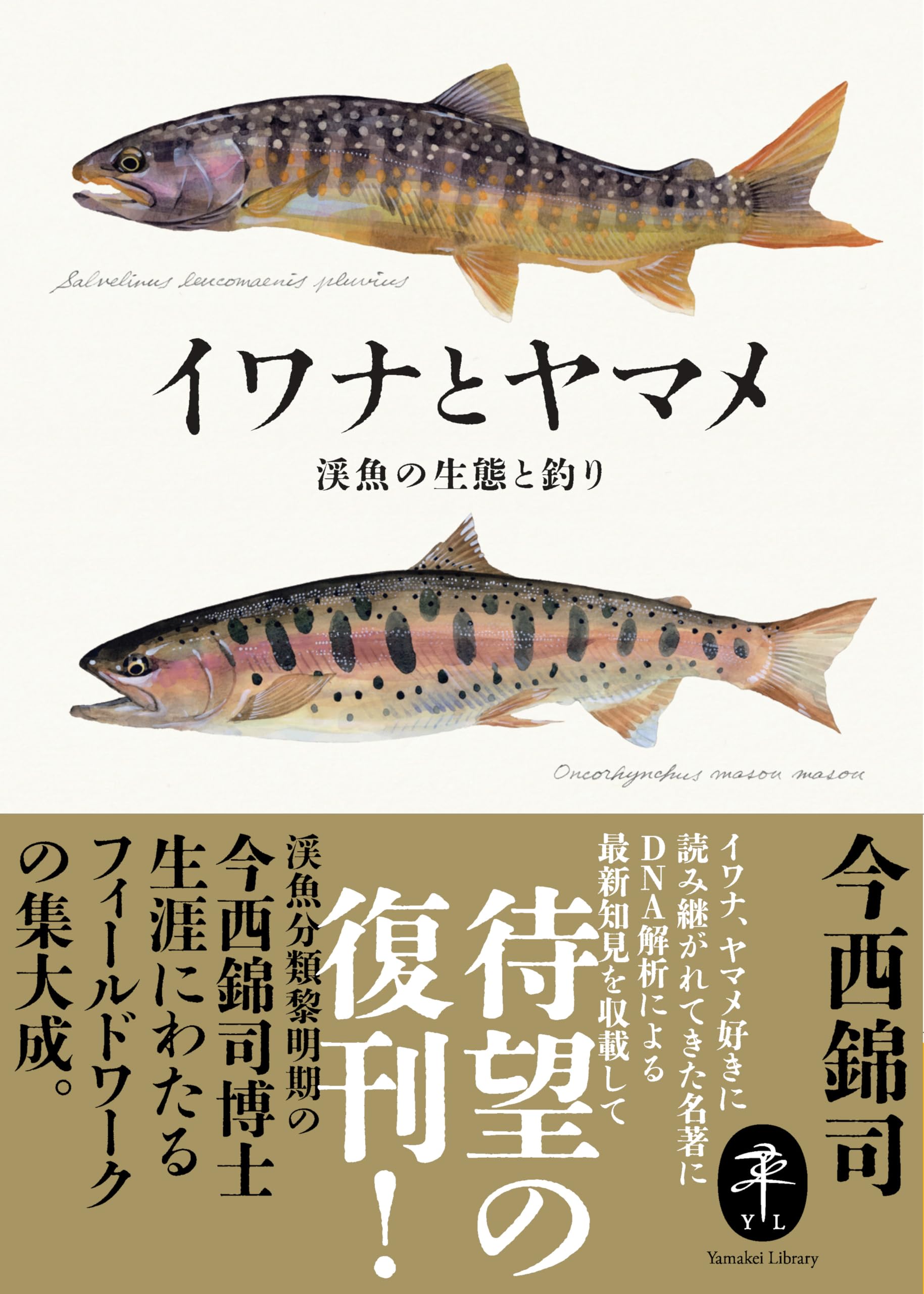 ヤマケイ文庫 イワナとヤマメ 渓魚の生態と釣り | 今西 錦司 |本 