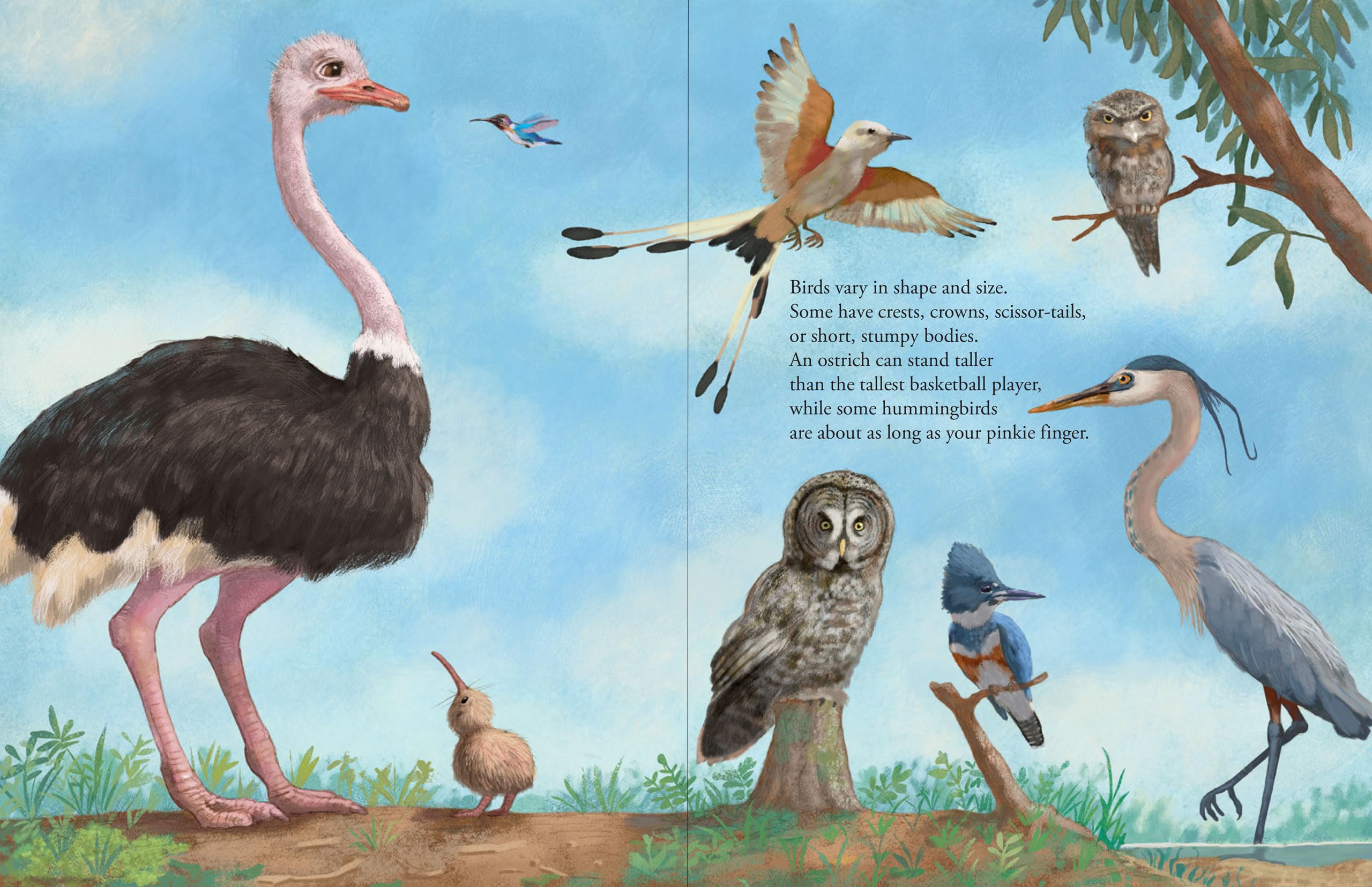 All the Birds in the World - Image 3