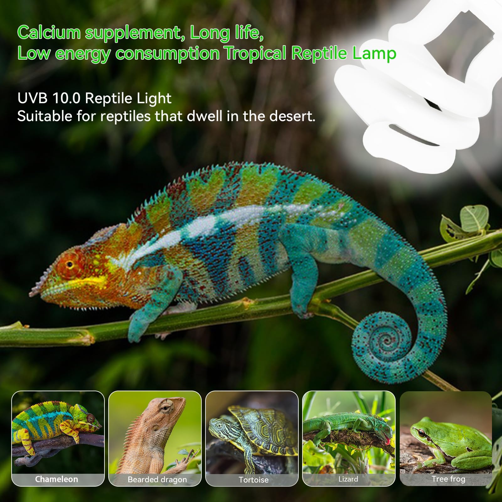 Bombilla UVB Reptiles 10.0 26W, E27 Lámpara UVA Tortuga, AC 220V Fluorescente Compacta para Reptiles del Desierto, Lagarto, Serpiente, Camaleón — view 7