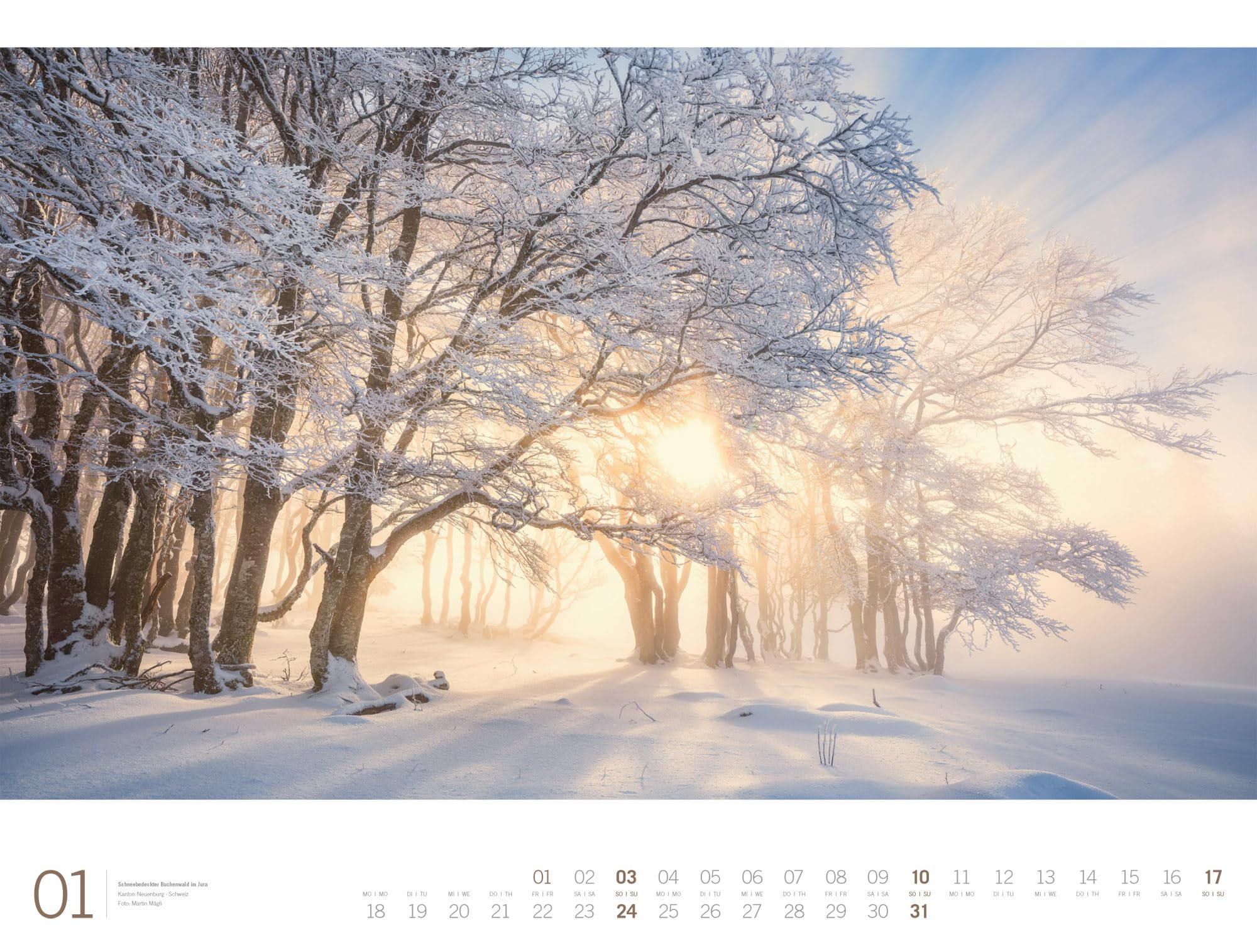 Wald Gallery Kalender 2027: Geschmackvoller Natur-Kalender im großen Querformat (66x50 cm) | Wälder und Bäume im Großformat