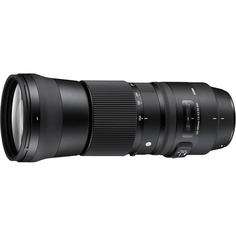 SIGMA 150-600mm ニコン Contemporary F5-6.3 Sigma 150-600mm F5-6.3 DG OS HSM Contemporary for Nikon F