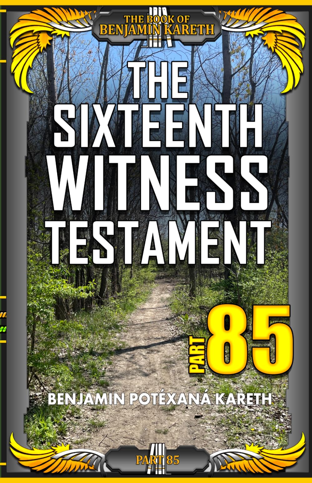 The Sixteenth Witness Testament (The Book Of Benjamin Kareth)