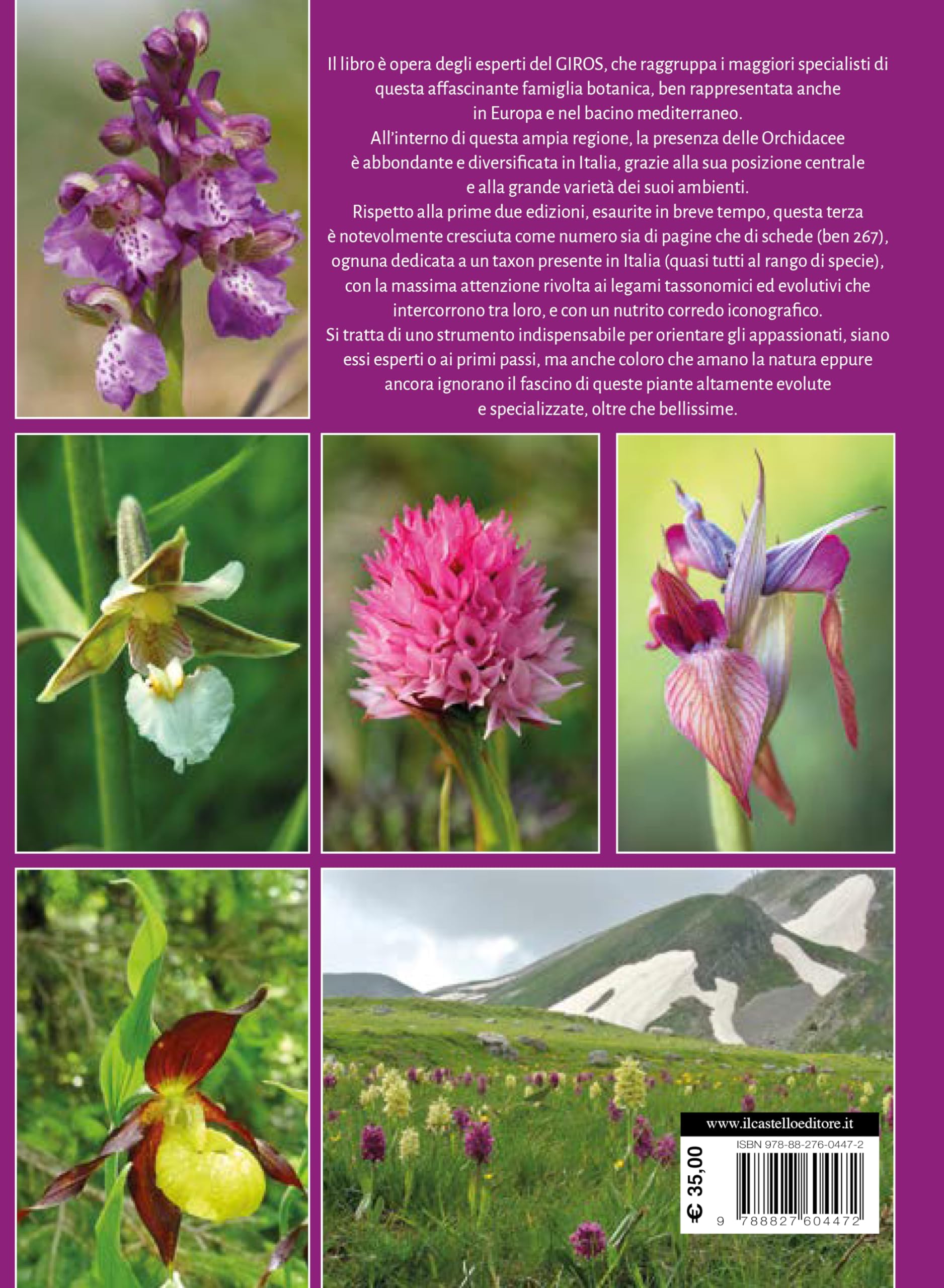 Orchidee d'Italia. Guida alle orchidee spontanee