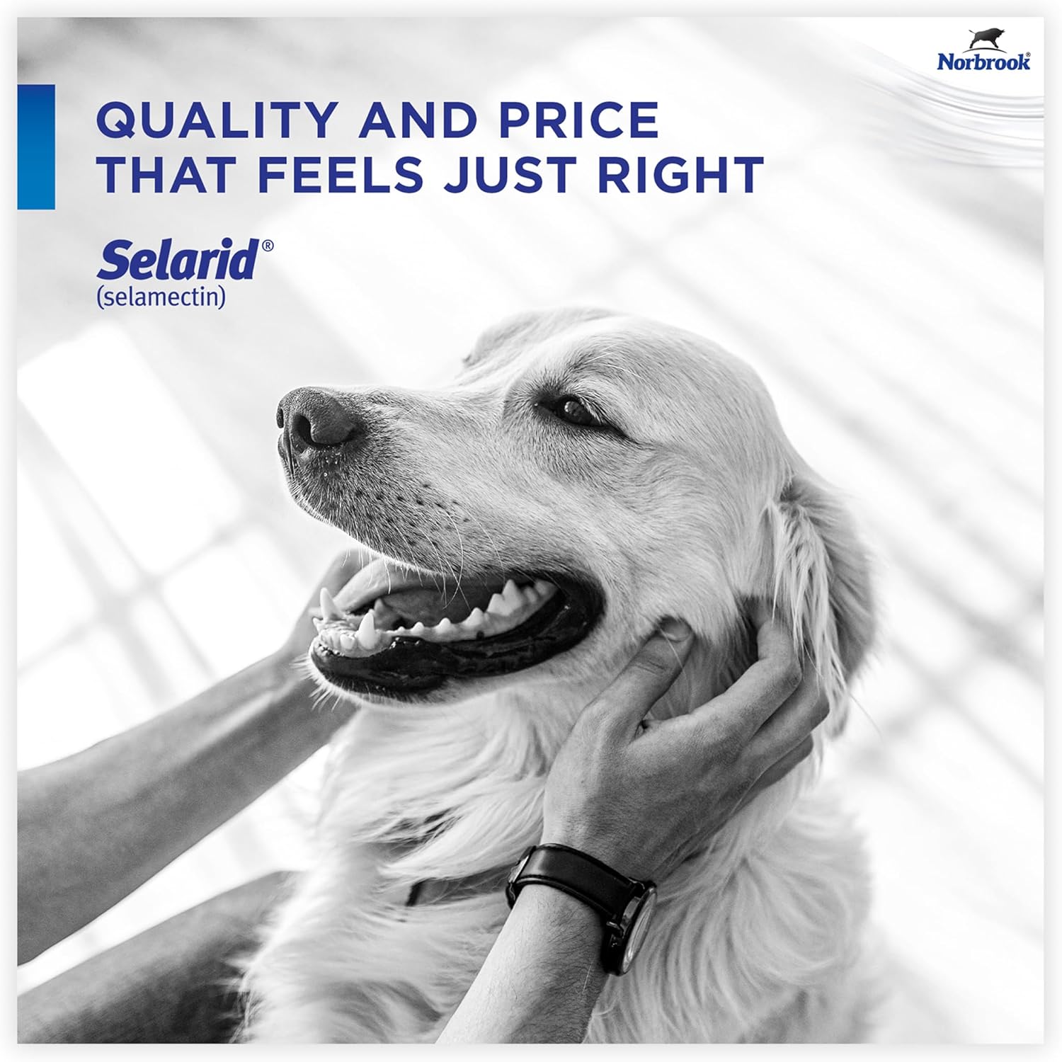 (selamectin) | Dogs 40.1-85 lbs | 6- Month Supply | Flea, Tick, Heartworm, and Ear Mite Protection