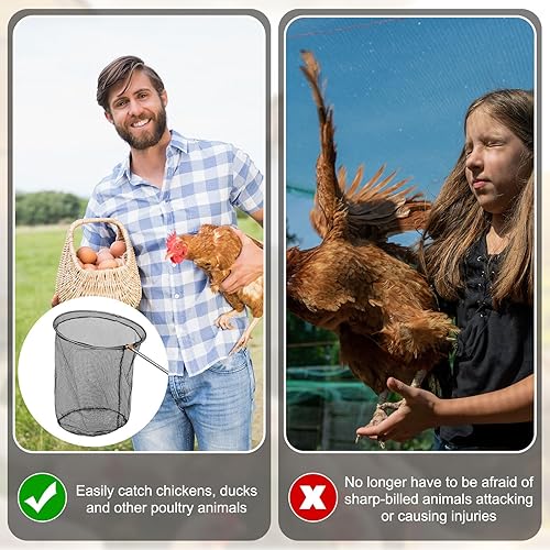 Miniatura 4 de Windyun Red de captura de aves de corral con poste telescópico de acero inoxidable para aves de corral al aire libre (red de 15.75 x 17.72 pulgadas