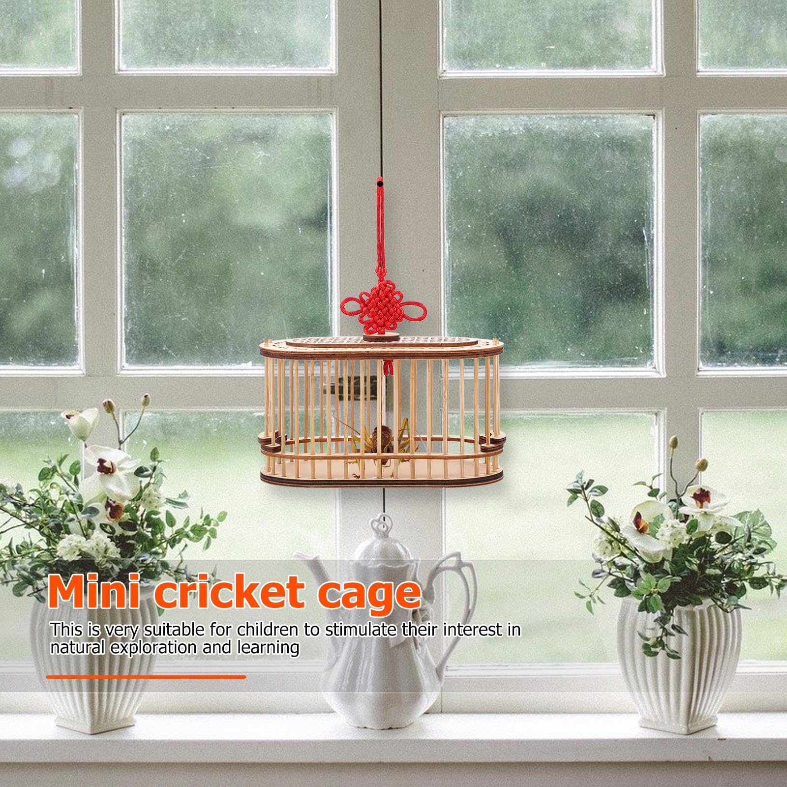 Levemolo Jaula de Madera Portátil para Grillos y Insectos, Diseño Ovalado Doble Compartimento, Transporte y Observación para Actividades al Aire Libre y Educativas — view 4