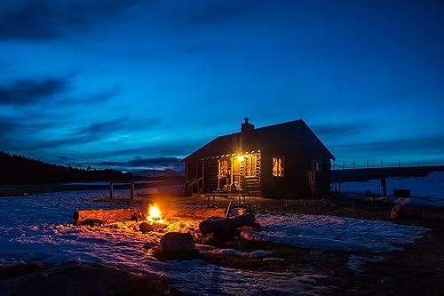 Miniatura 7 de Luz LED A19 para insectos – Sustituye a 100 W – Bombilla mediana E26 de espectro amarillo para porche, patio y terraza – Actualiza tus viejas