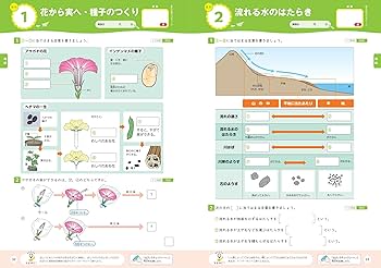 5年生 ドリルセット Amazon.com: 【特典つき】小学5年生 算数セット (うんこドリル