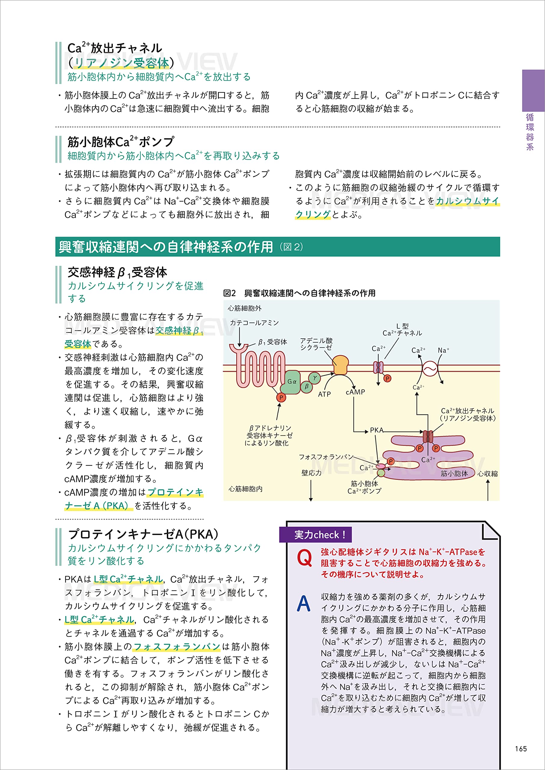 生理学 第3版 カラーイラストで学ぶ 集中講義 Noygtrprkg 基礎医学 Mowjdanesh Ir