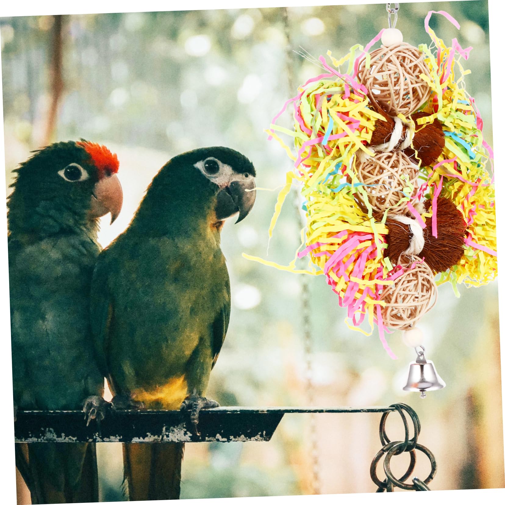 VANZACK 6stücke Teiliges Vogelspielzeug Papageien Lustige Kauspielzeuge Für Vögel Hängendes Zerkleinerungsspielzeug Für Käfige Langeweile Und Fördert Die Aktivität