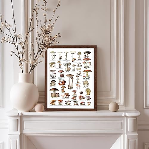 Miniatura 365 de Poster Master Póster vintage de orquídea, estampado de flores retro, arte de pared de plantas exóticas, arte botánico, regalo para hombres y