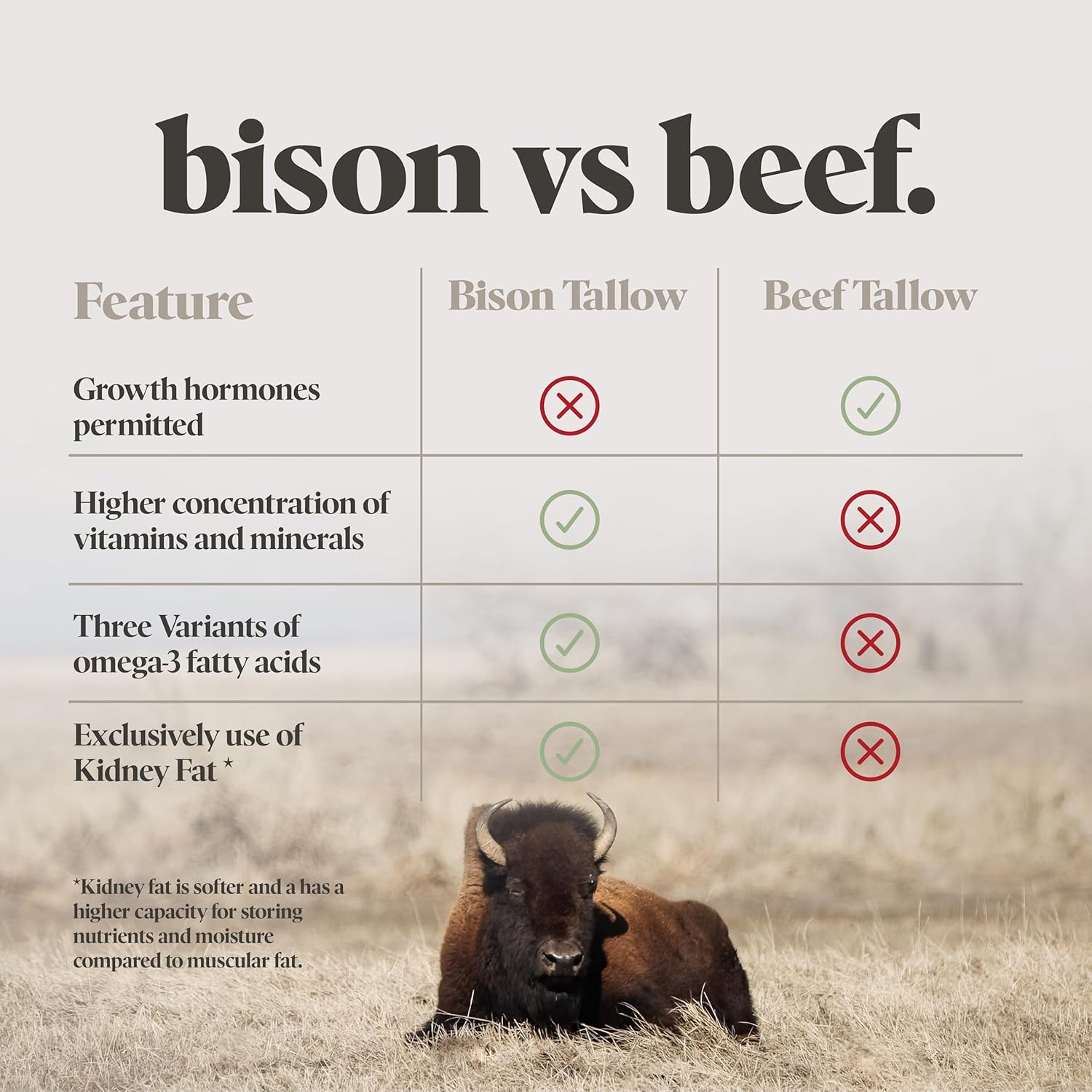 BUFF BAR Pure Bison Tallow Salve, Unscented, 1 Pack - No Irritating Ingredients, Simple & Clean, Body Butter, Full Body Hydration, Replaces Lotion, For Cracked, Dry, Itchy, Irritated Skin - Image 8