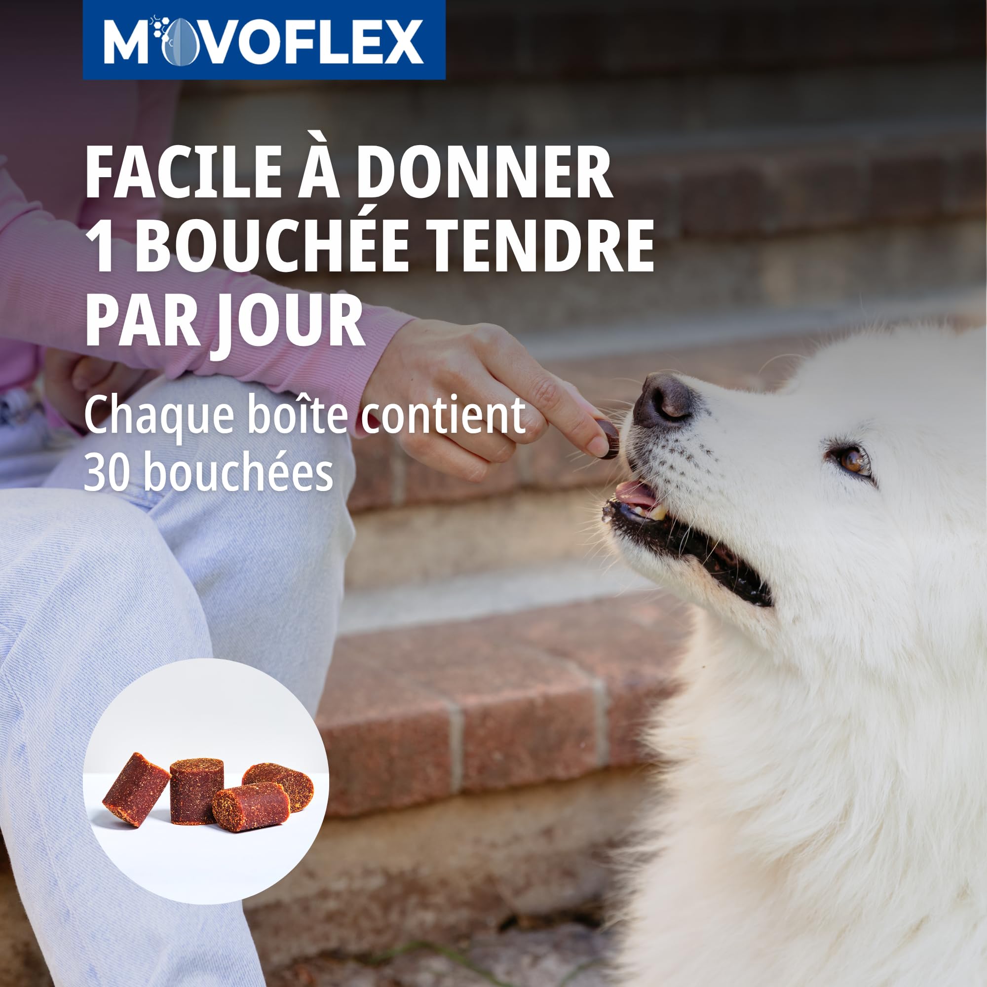 Movoflex Soft Chews | 30 pezzi | Per cani di oltre 35 kg | Alimento complementare per la salute delle articolazioni | Per mantenere le strutture articolari | Con acido ialuronico