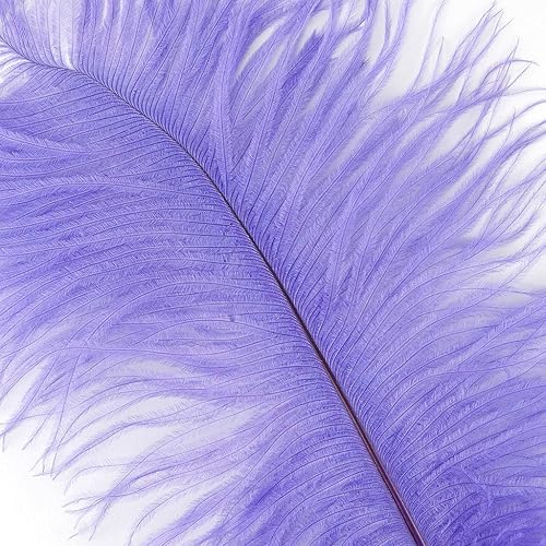 Miniatura 2 de ZUCKER OP15-LV Plumas de avestruz, 13-16 pulgadas de largo x 4-8 pulgadas de ancho, lavanda