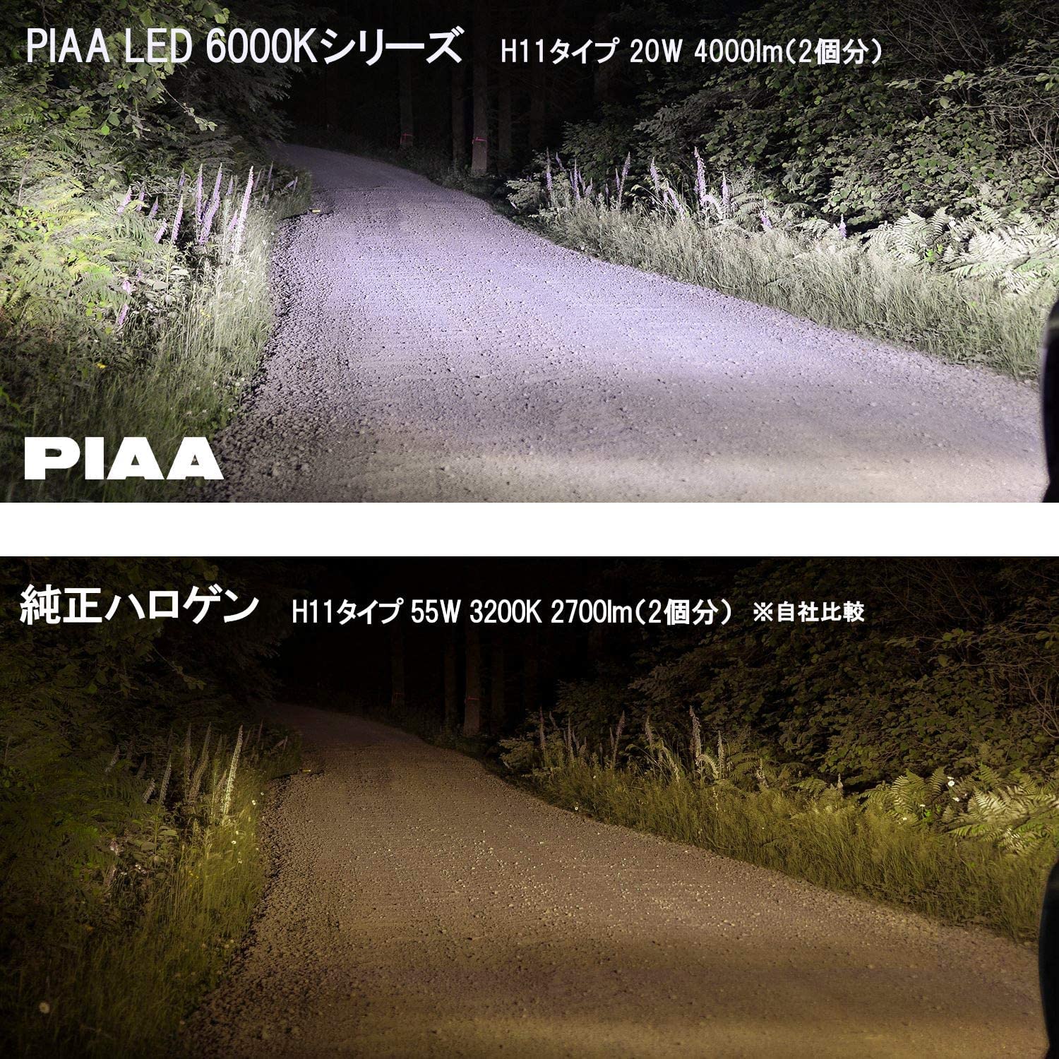 Amazon | PIAA(ピア) ヘッドライト/フォグライト用 LED 6000K 