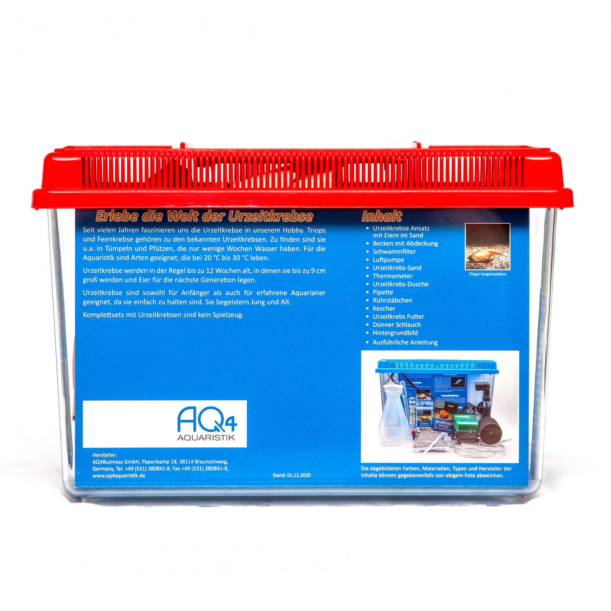 Triops longicaudatus Komplettset 6 l mit ca. 200 Urzeitkrebse Eiern Aquarium Filter Luftpumpe Zubehör Futter Anleitung