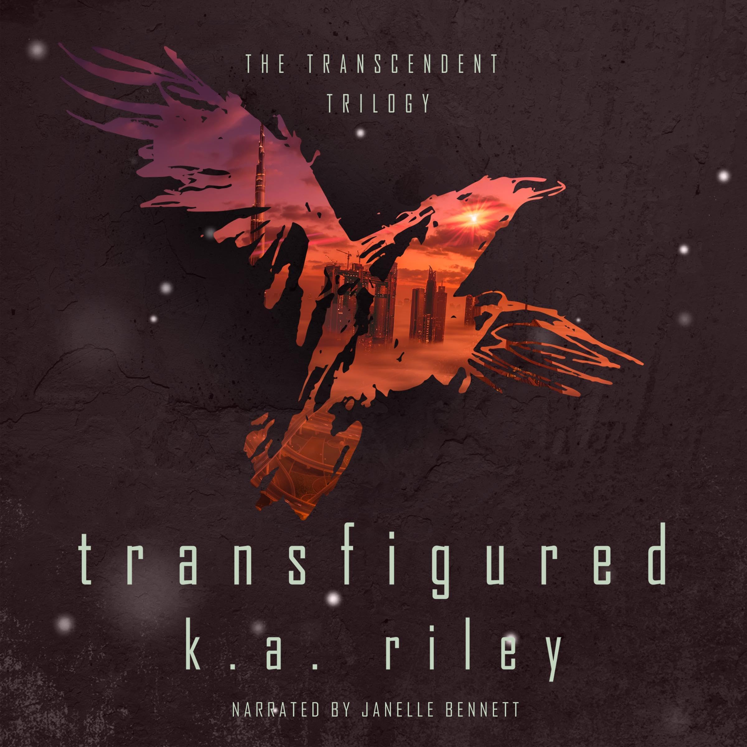 Cover art for Transfigured