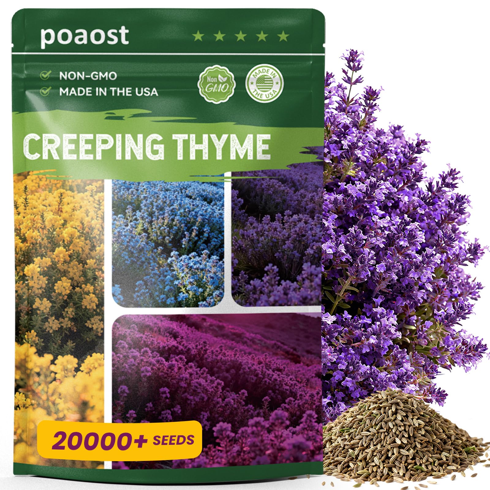 20000+ Purple Creeping Thyme Seeds for Planting - Perennial Ground Cover, Heirloom Non-GMO Thymus Serpyllum, Fragrant Flowers for Lawn Replacement, Walkways & Backyard