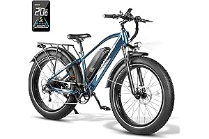 Lander Electric Bike for Adults, 26'' Electric Bike for Traveling Camping