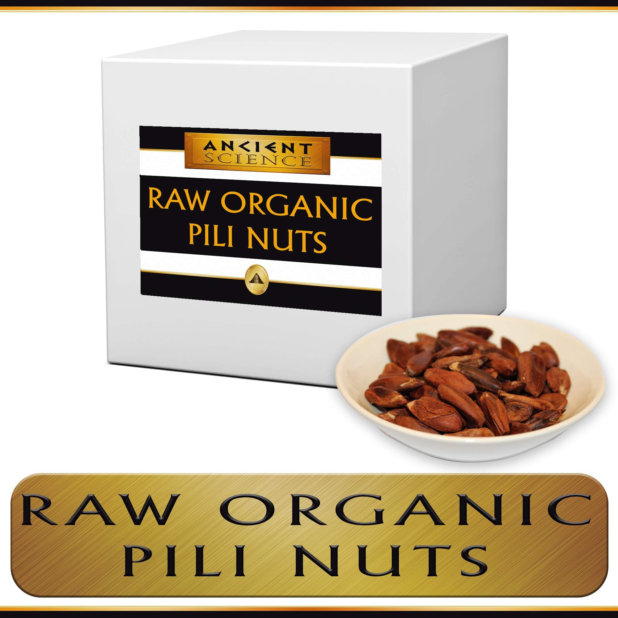 Raw Pili Nuts Polynesian Bulk 15 lb Wholesale Supplier - Organic, Kosher - Vegan, Non-GMO, Gluten-Free